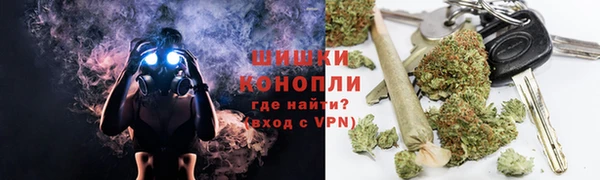 шишки Абаза