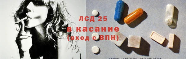 шишки Абаза