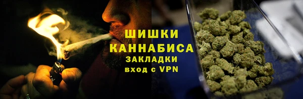 шишки Абаза