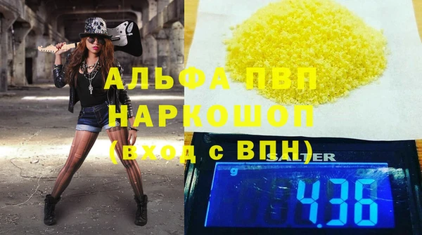 шишки Абаза