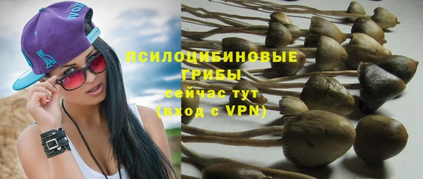 шишки Абаза
